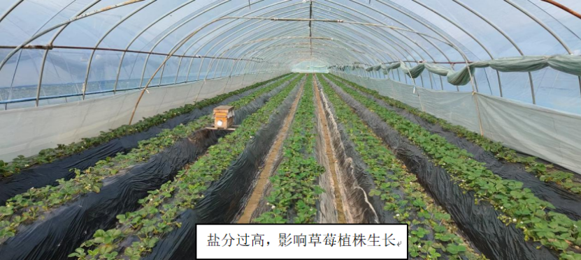250104萌幫普利納降鹽1.png