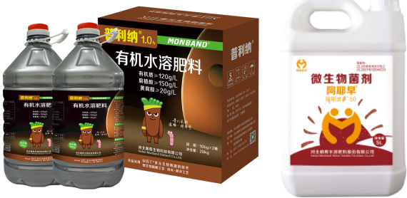 普利納＋阿耶早.png