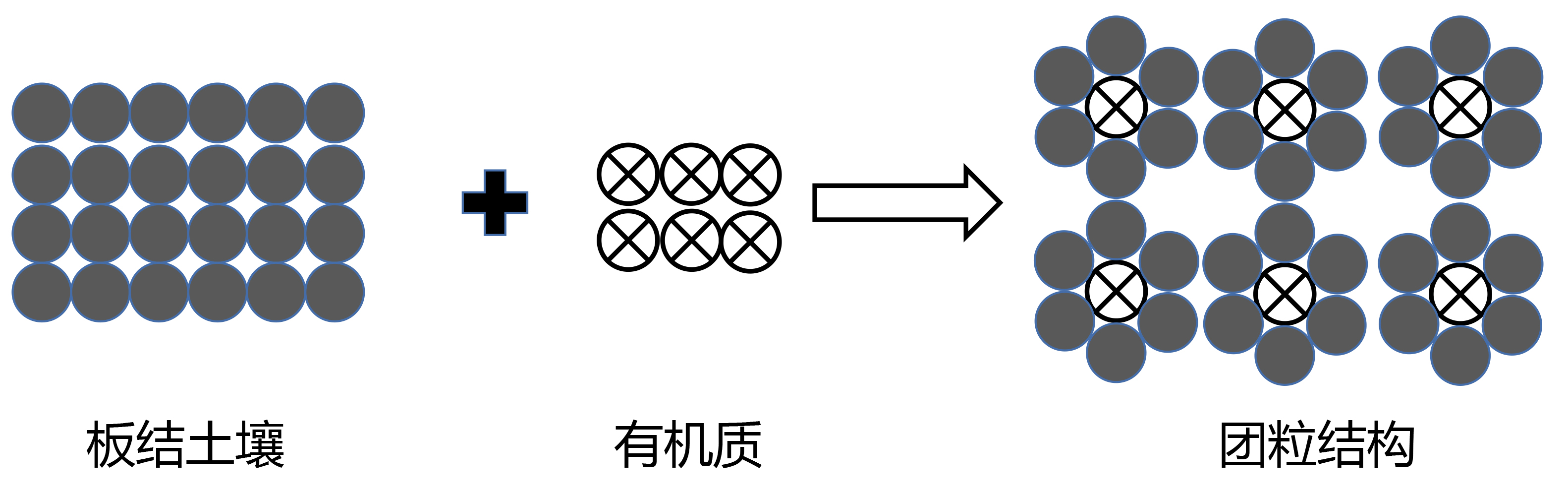 陽(yáng)光玫瑰底肥施用萌幫普利系列肥料方案2.png